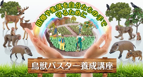 リリース公開時にて表示