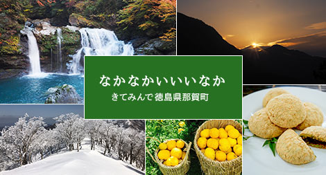 「なかなかいいいなか きてみんで徳島県那賀町」