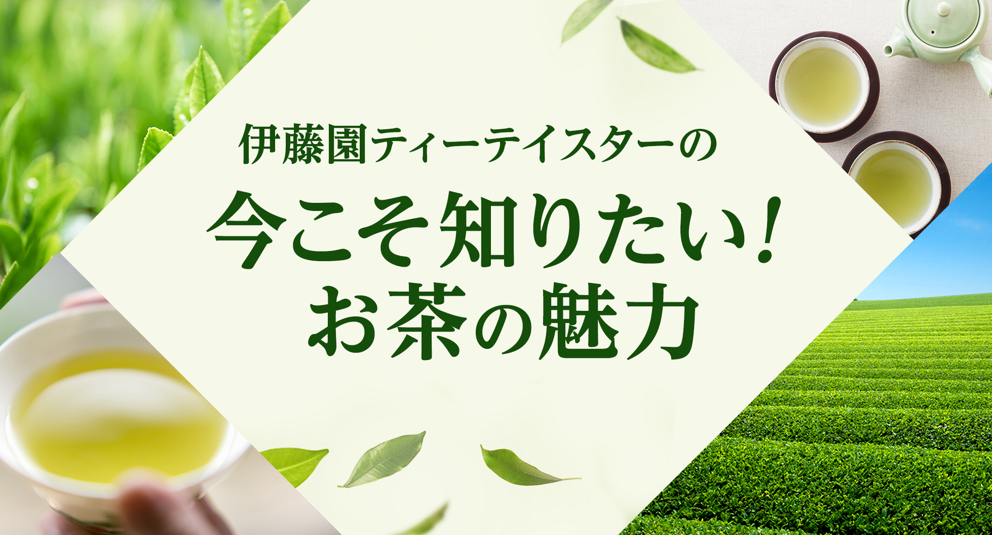 伊藤園ティーテイスターの今こそ知りたい！お茶の魅力
